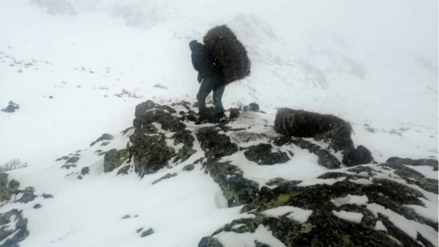 Yaban hayvanlarını unutulmuyor.