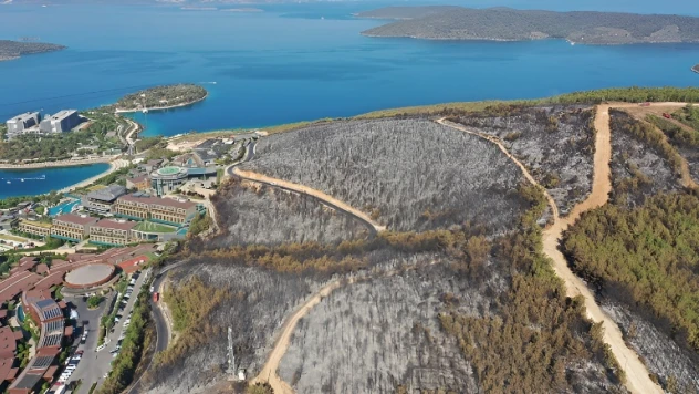 Yanan yerlerin imara açtığını kasti söylemek ihanettir