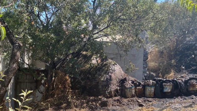 Yılanlı Dağı'ndaki yangın kontrol altına alındı