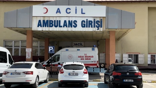 Yüksekova'da korkunç olay