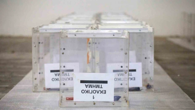 Yunanistan, 25 Haziran'da yeniden sandık başına gidecek