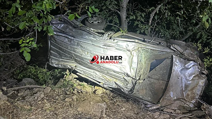 Bingöl'de hafif ticari araç uçuruma yuvarlandı