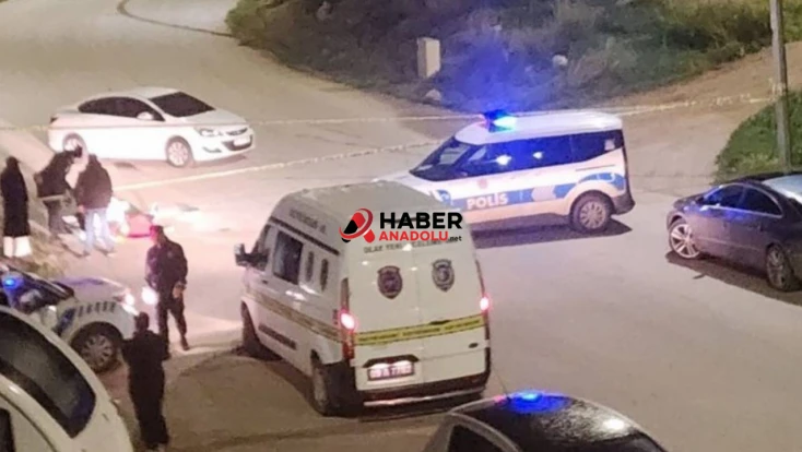 Didim’de kanlı infaz: 2 ölü