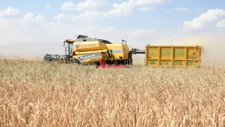 Girişimcilere 114,4 milyon lira hibe aktarıldı