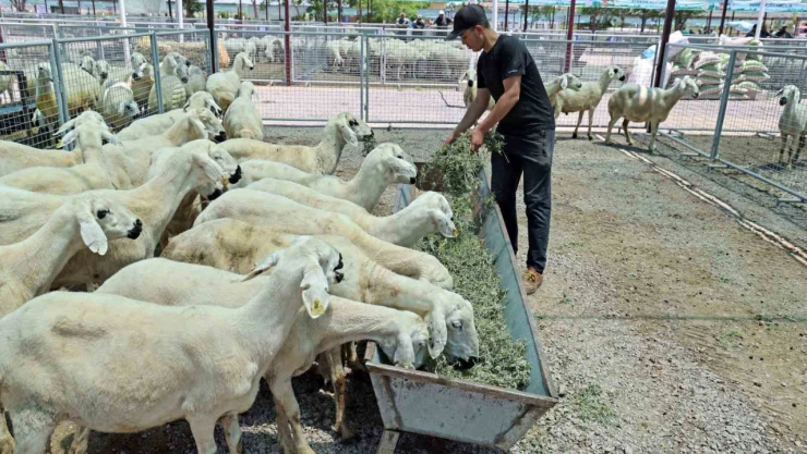 'Kayseri'de bir numara Talas Belediyesi'