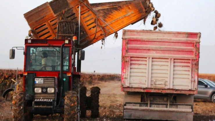 1 milyon dekar alanda şeker pancarı hasadı devam ediyor