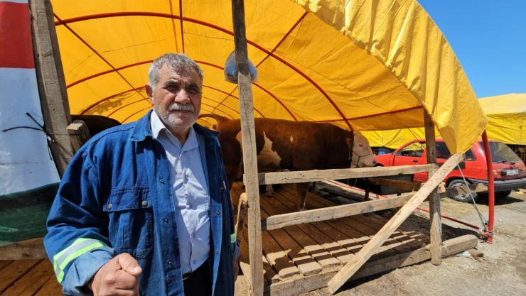 850 kiloluk kurbanlık 285 bin TL'ye satıldı