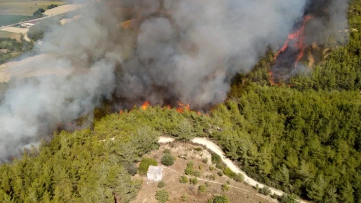 Adana'da orman yangını: Havadan ve karadan müdahale başladı