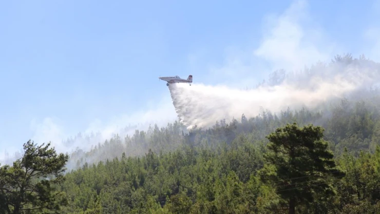 Alanya'daki orman yangını kontrol altına alındı
