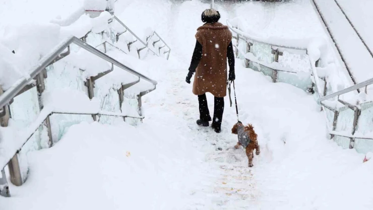 Almanya'nın güneyinde yoğun kar yağışı