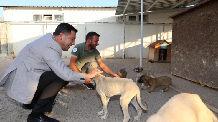 Başkan Arı'dan Nevşehir'e Yeni Hayvan Kasabası Müjdesi