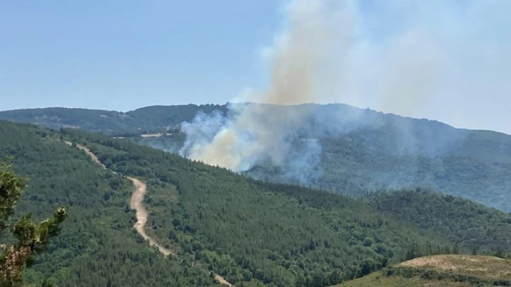 Biga'da orman yangını