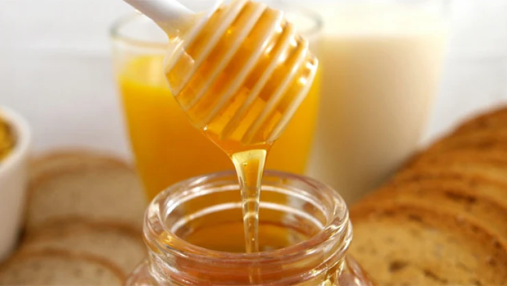 Bin 900 rakımda üretiliyor, ihracata hazırlanıyor