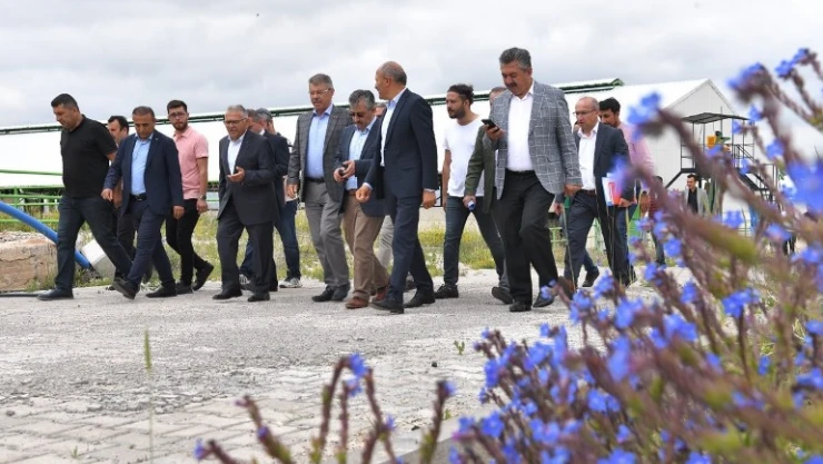 Felahiye'de hayvancılığa yeni hamle