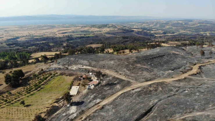 Çanakkale'deki orman yangını 52 saat sonra kontrol altına alındı