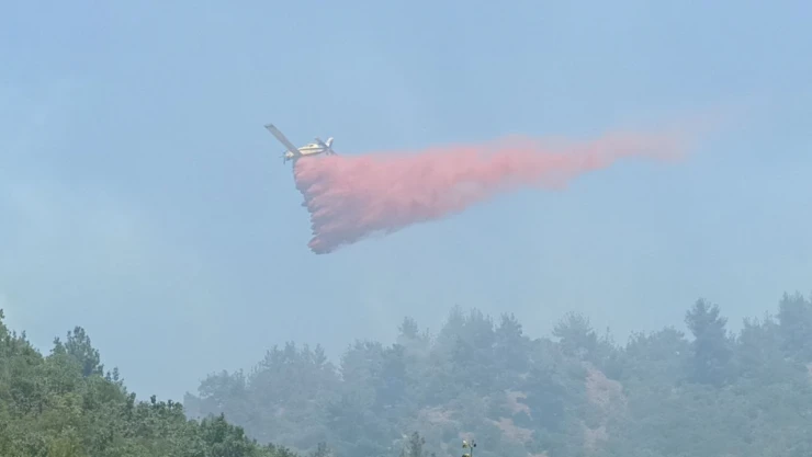Çanakkale'deki orman yangınlarında hava araçları bin 800 sorti yaptı, 4 bin 900 ton su attı