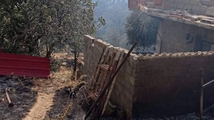 Cezayir'de 26 noktada orman yangını: 2 ölü, 42 yaralı