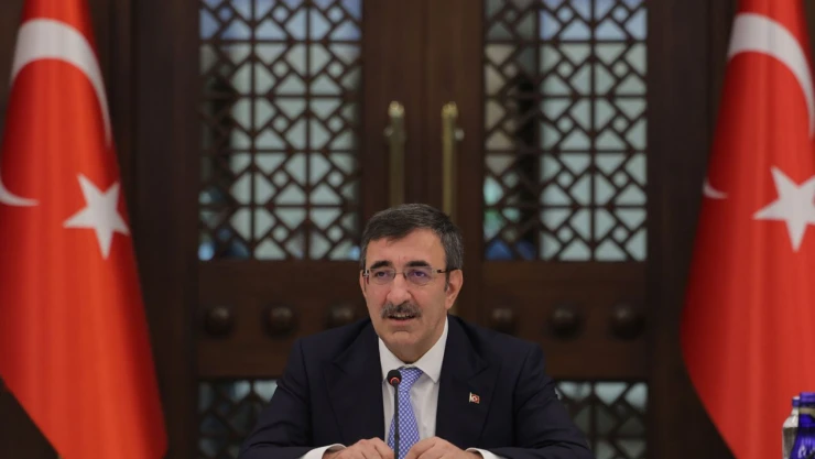 Cumhurbaşkanı Yardımcısı Yılmaz'dan AKPM'nin Türkiye kararına tepki