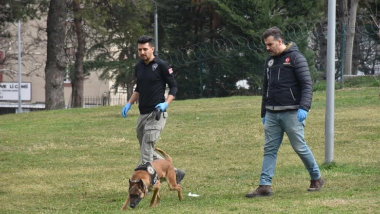 EGM: Toplamda 33 bin 594 personel ve 249 dedektör köpeği ile genel asayiş ve narkotik uygulaması gerçekleştirildi