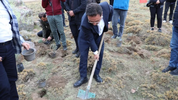 Erciyes lavantayla renkleniyor
