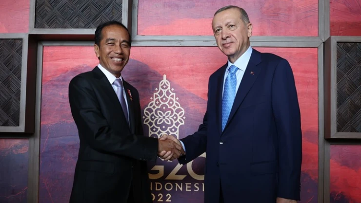 Erdoğan, Endonezya Devlet Başkanı Widodo ile görüştü