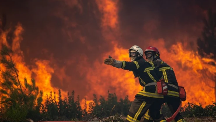 Fransa'daki orman yangınları bitmek bilmiyor.