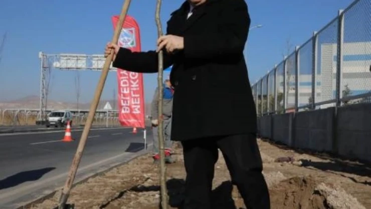 'İKLİME UYGUN AĞAÇLANDIRMA YAPILARAK, İLÇENİN AĞAÇ HARİTASI ÇIKARILACAK'