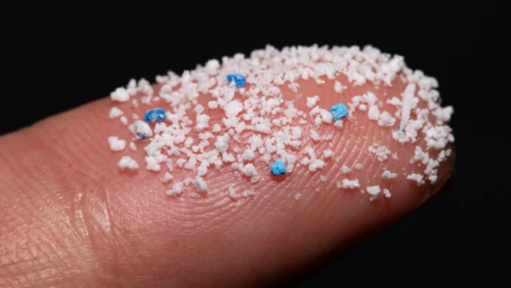 İngiliz bilim adamları tarihi kalıntılarda mikroplastiklere rastladı