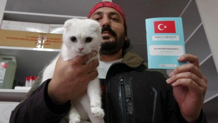 Kedi ve köpek sahipleri dikkat, yasal süre 31 Aralık'ta doluyor