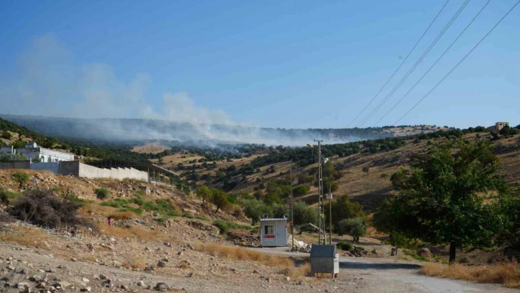 Kilis'te orman yangını: 50 dönüm arazi kül oldu