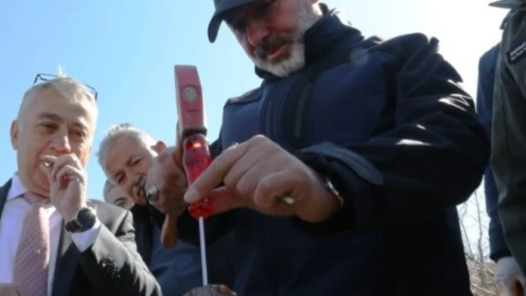 Kocasinan'da yabani alıç ağaçları, ekonomik değere dönüşüyor