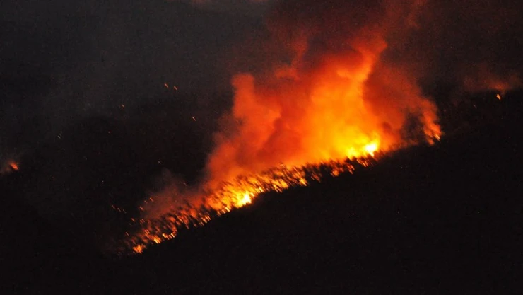 Muğla Gökova yangını devam ediyor