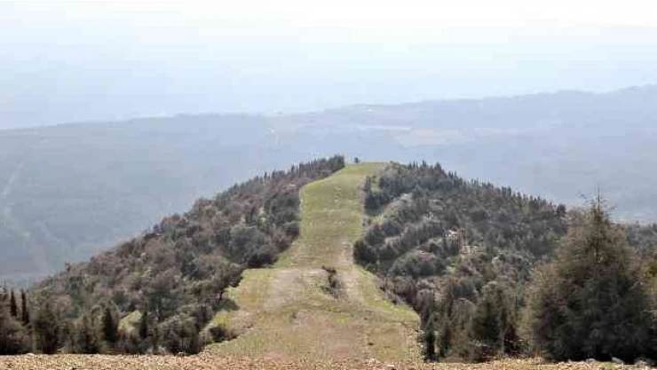 Ormanlık alanlara girişler yasaklandı