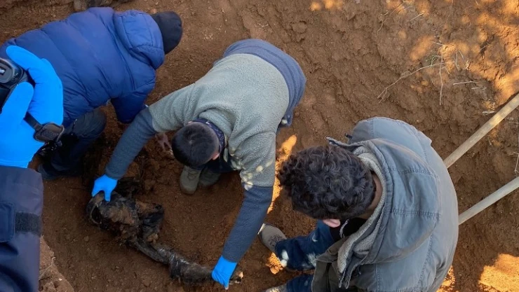 Polisin eylem hazırlığındaki teröristi yakalaması örgüt içi infazı ortaya çıkardı