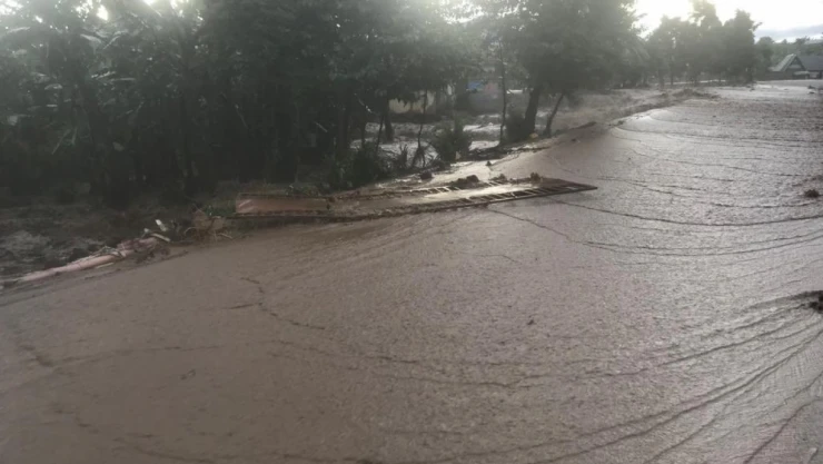 Ruanda ve Uganda'da sel ve toprak kayması: 115 ölü
