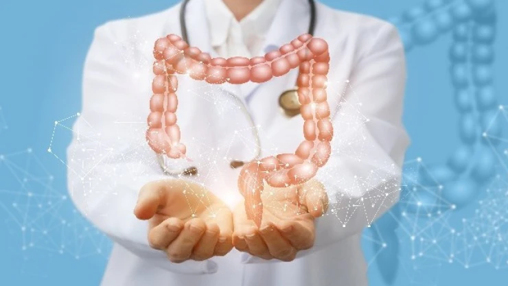 Sağlıklı bağırsaklar için tavsiyeler