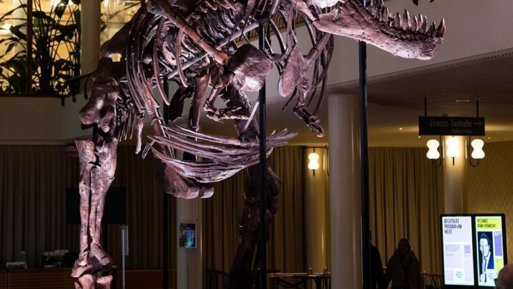 T-Rex cinsi dinazor iskeleti 6 milyon dolardan fazlaya alıcı buldu