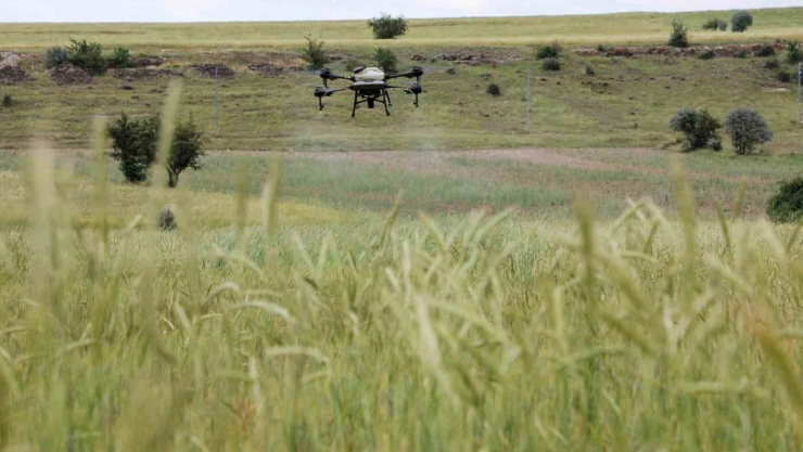 Talas'ta drone ile ilaçlama devri