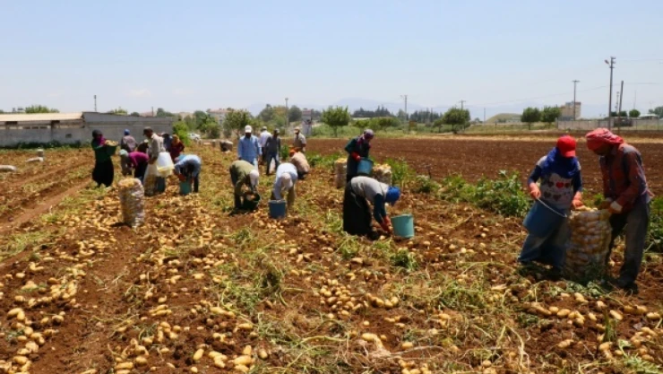 Tarım ve Orman Bakanlığına bin 500 işçi alınacak