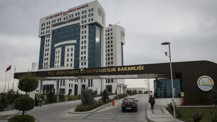 Tarım ve Orman Bakanlığından yöresel hayvancılık projelerine hibe desteği