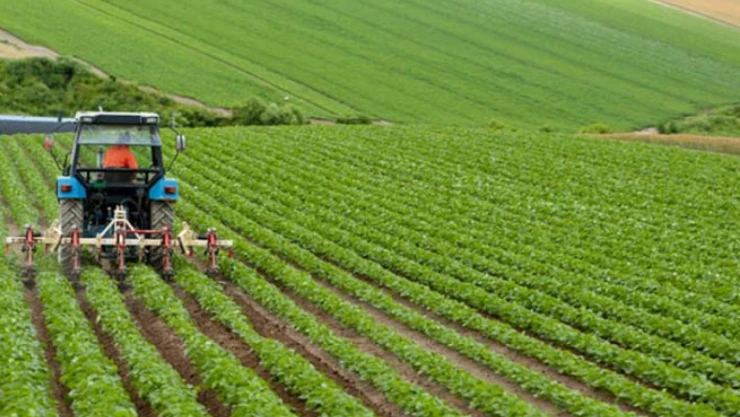 Tarımda planlı ekim dönemi