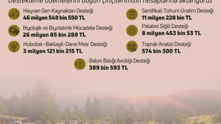 Tarımsal destekleme ödemeleri bugün çiftçilerin hesaplarına aktarılacak