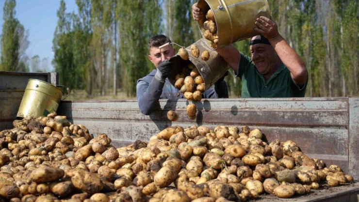 Tarımsal girdi fiyat endeksi yıllık yüzde 30,49 arttı