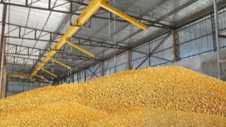 UHK'nin buğday rekolte tahmini 20,75 milyon ton