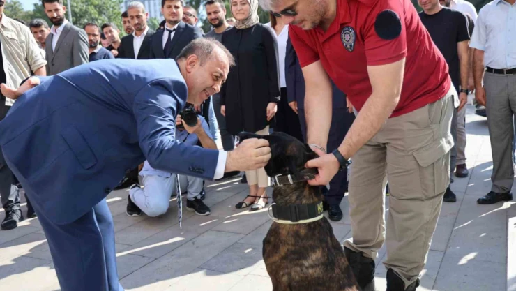 Uyuşturucuya rekor tutuklamaya emniyet müdüründen tebrik