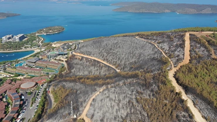Yanan yerlerin imara açtığını kasti söylemek ihanettir