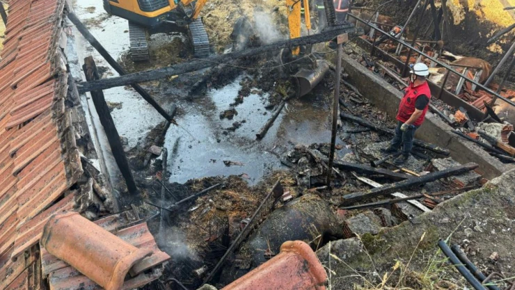 Yürek yakan yangın: Kurbanlıklar telef oldu