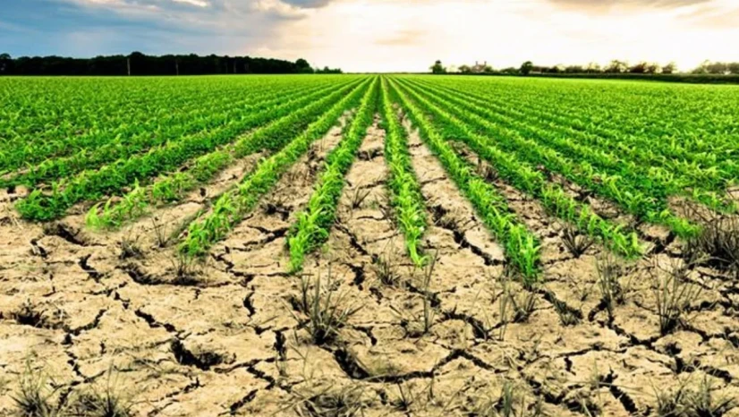 Atıl Araziler Üretime Kazandırılıyor