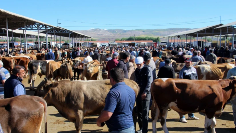 Bayrama sayılı günler kala kurban pazarları hareketlendi