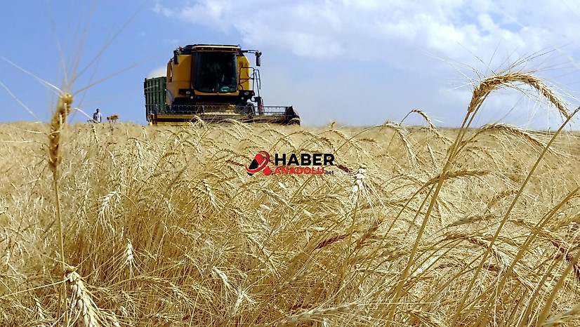 Tarım destek ödemesi bugün yapılacak